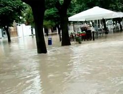 180 пензенских детей эвакуируют из Геленджика, пострадавшего от наводнения