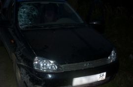 Фото||из архива ГУ МЧС России по Пензенской области В Богословке «Лада Калина» сбила пешехода