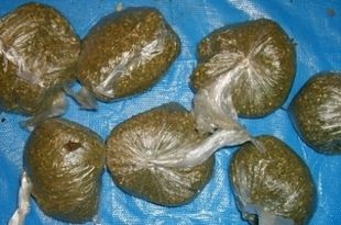 В Пензенской области полицейские изъяли более 3 кг наркотиков