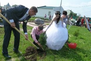 Фото||uzags.pnzreg.ru В Земетчинском районе заложили Аллею новобрачных
