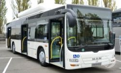 Фото|| Автобусы больше не будут возить пензенцев на дачи