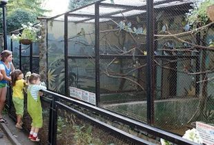 Пензенский зоопарк на один час сокращает режим работы