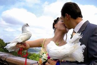 В Пензенской области стали реже жениться