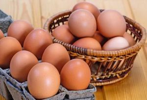 Пензенские производители яиц нуждаются в поддержке