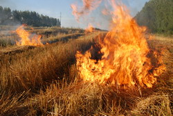 В Чемодановке школьники приняли участие в тушении пожара