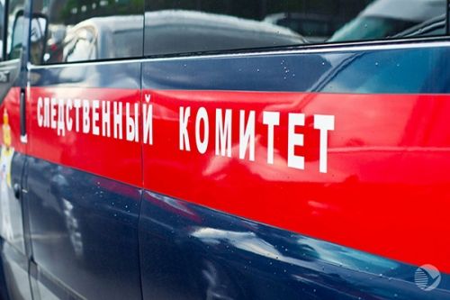 Фото||sls-security.ru В Пензенской области сын пришел к отцу мириться и убил его