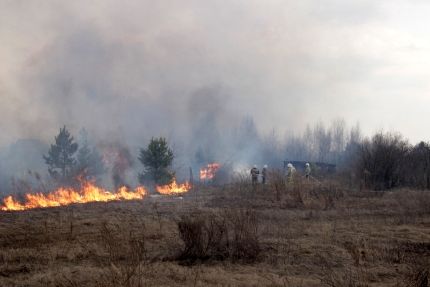 Фото||58.mchs.gov.ru В нескольких селах Пензенской области пал сухой травы едва не привел к трагедии