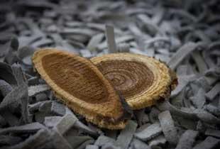 Фото||fonstola.org В Пензенской области задержан дровосек, использующий лесные деревья для строительства забора