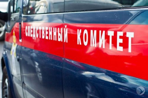 Фото||168.ru В Пензенской области двое подростков жестоко убили 12-летнюю девочку