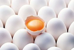 Стоимость яиц в области выросла на 45 процентов