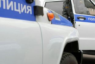 Под Пензой полицейские застрелили пьяного водителя «Мерседеса»