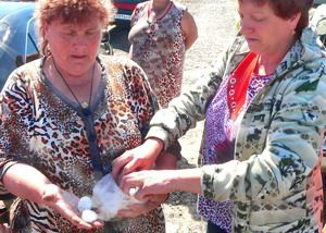 Фото|| В Пензенской области град выбил стекла в домах и помял десятки машин