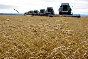 В Пензенской область зарплата агрария составила 17,3 тыс. рублей