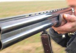 В Сердобске вооруженный хулиган открыл стрельбу из охотничьего ружья 