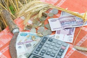 Фото||specagro.ru В Пензенской области выявлены факты мошенничества при получении средств господдержки в рамках ПНП «Развитие АПК»