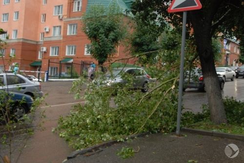 В Пензенской области вновь прогнозируют усиление ветра