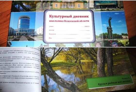 В Пензенской области вручили 119 тыс «Культурных дневников» 
