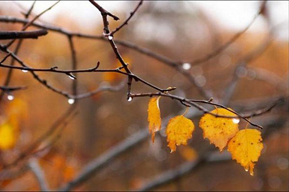 Фото||img4.vashgorod.ru В Пензе 30 сентября аномальная жара сменится осенними холодами