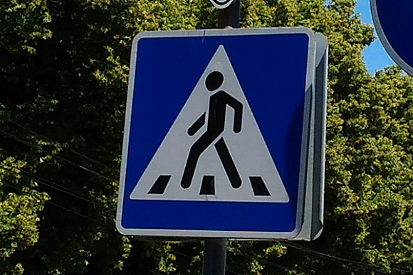В Пензенской области 105 пешеходов нарушили ПДД