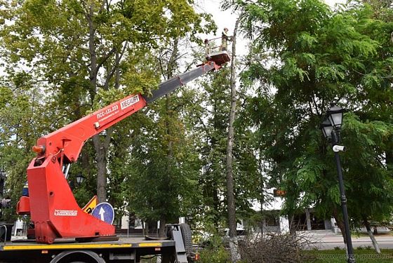 В сквере Пушкина в Пензе деревья спасают от изумрудной златки В сквере Пушкина в Пензе деревья спасают от изумрудной златки
