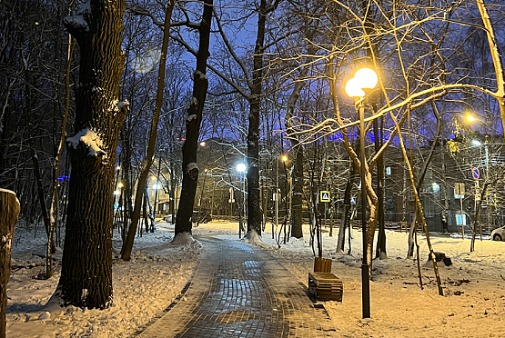 В Пензенской области ночью 30 ноября похолодает до минус 15 градусов