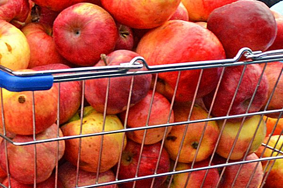 В Пензе за год уничтожили 1,6 тонны санкционных фруктов