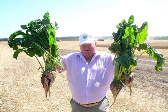 В Земетчинском районе готовятся переработать рекордный урожай свеклы