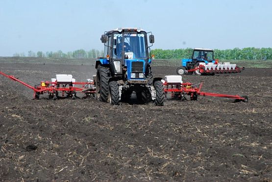 На сельхозработы в Пензенской области затратят 5,8 млрд