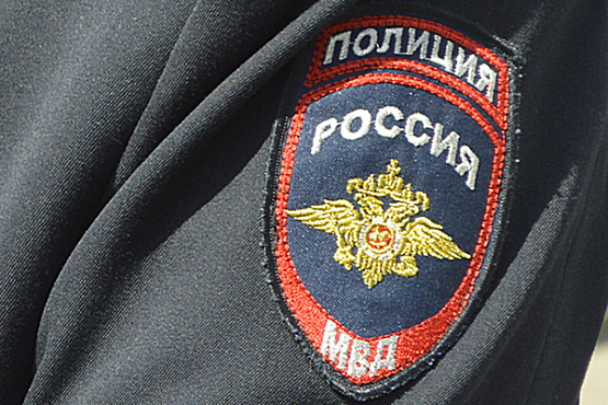 В Башмаково рецидивист ударил головой полицейского