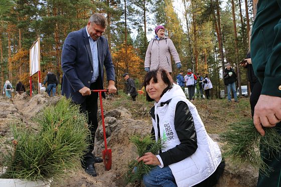 В Пензенской области осенью высадили более 60 тысяч деревьев В Пензенской области осенью высадили более 60 тысяч деревьев