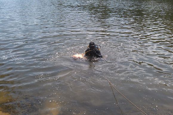 В пруду зоны отдыха «Лесная» в Заречном утонул мужчина