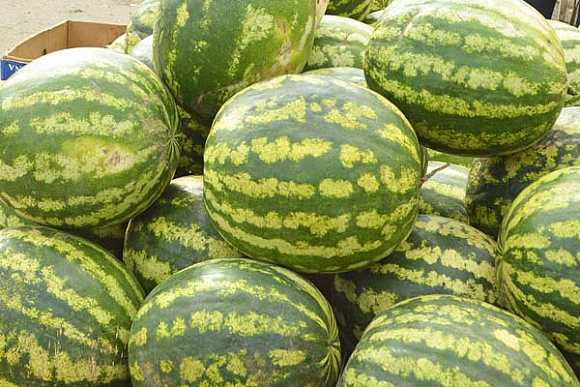 Фото||Владимир ГРИШИН, vk.com/black_pnz Пензенцам продали на рынке арбуз-альбинос