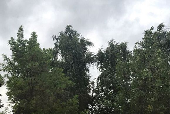 Фото||автора Пензенские спасатели предупредили о штормовом ветре 6 июля