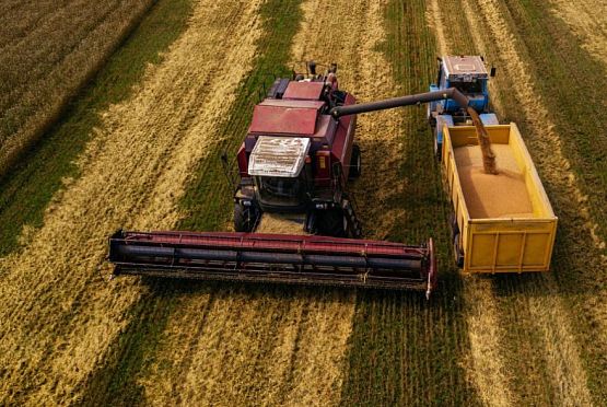 В Пензенской области получено 1 млн 842 тыс. тонн зерна