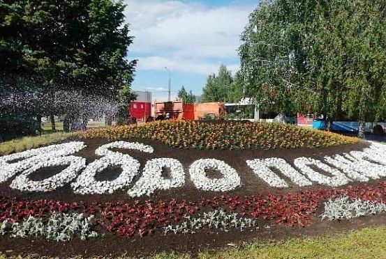 На клумбы Пензы высадили более 40 тысяч цветов   