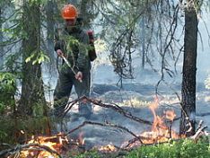 Василий Бочкарев: «Мы закрываем въезд в леса для спасения жизней»