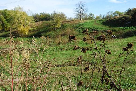 Фото||Владимир ГРИШИН В Пензенской области получить землю станет проще
