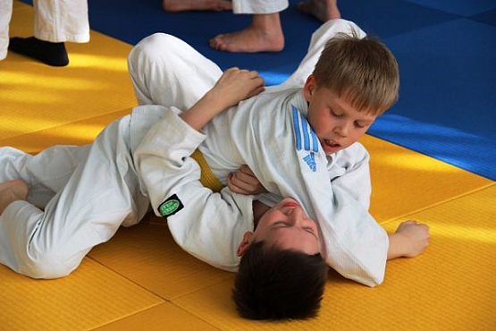 В школах Пензенской области на уроках физкультуры будут преподавать дзюдо