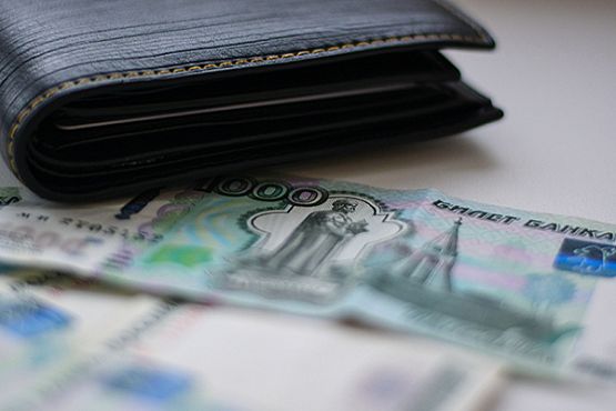 Полиция задержала 18-летнюю мошенницу, забравшую у пенсионерки 200 тысяч рублей
