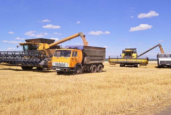 Пензенские аграрии обсудили, как можно продавать зерно дороже