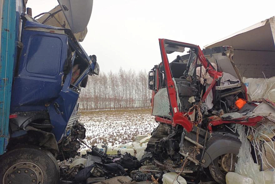 В Малосердобинском районе в ДТП в фурами погиб 43-летний водитель