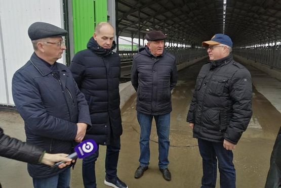 В Кузнецком районе намерены построить еще два молочно-товарных комплекса