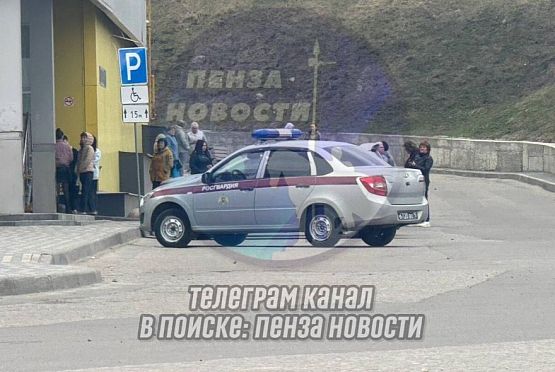 В Пензе эвакуировали посетителей двух торговых центров в Арбеково