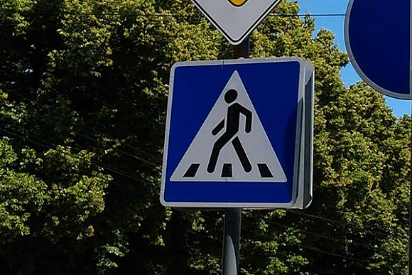 В Пензенской области 22 июня ловят пешеходов-нарушителей