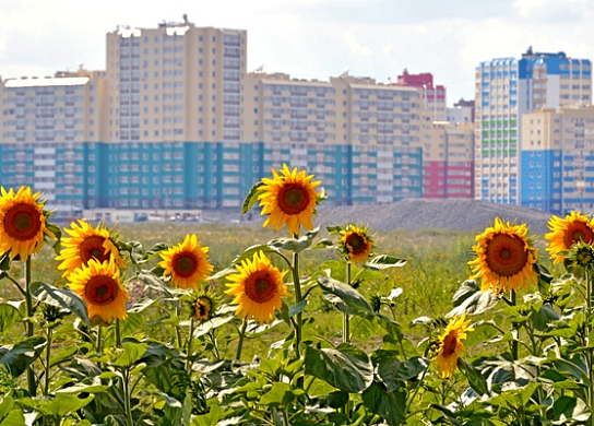 Пенза заняла 29-е место в экологическом рейтинге городов России