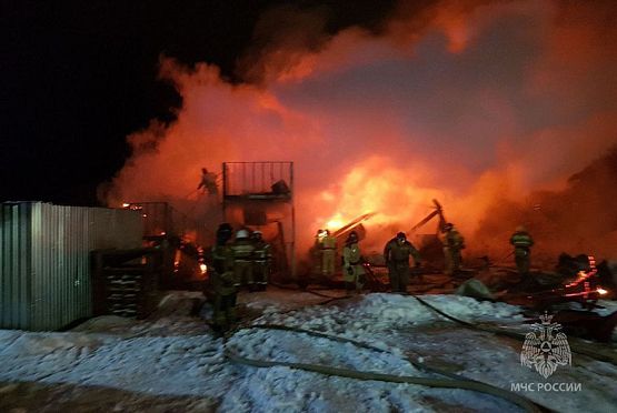 В Пензенской области за 14 дней 2024 года в пожарах погибли 17 человек