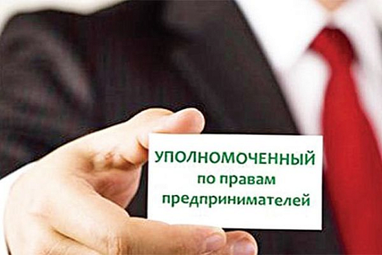 В районах Пензенской области выбирают помощников Уполномоченного по защите прав предпринимателей