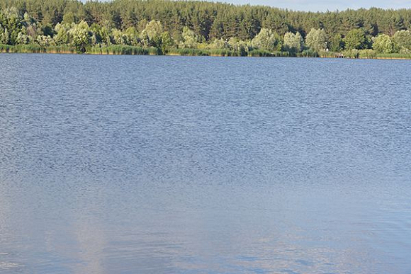 Фото||автора В Колышлейском районе у пруда нашли скелетированный труп пенсионерки