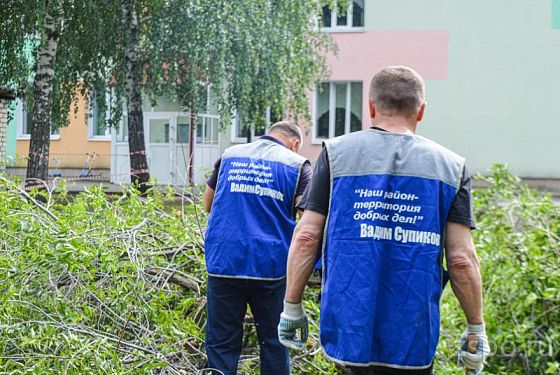 В Пензе территорию детского сада избавили от опасного дерева