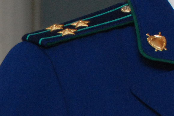 Фото||Владимир ГРИШИН В Пензе родители ответят за гулявшего по крыше подростка